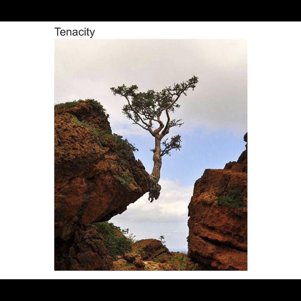 Meet your Posher, Viann